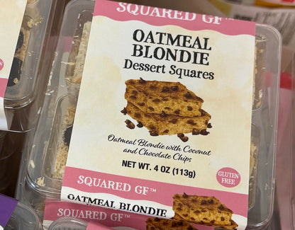 Oatmeal Coconut Chocolate Chip  Blondie Squares
