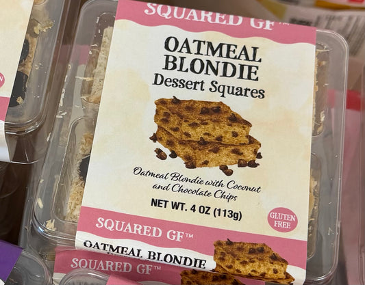 Oatmeal Coconut Chocolate Chip  Blondie Squares 9 pack